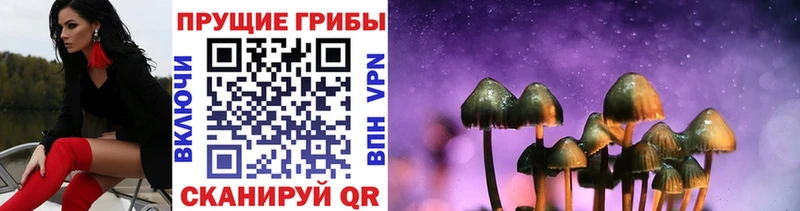 Псилоцибиновые грибы GOLDEN TEACHER закладка kraken сайт Тотьма